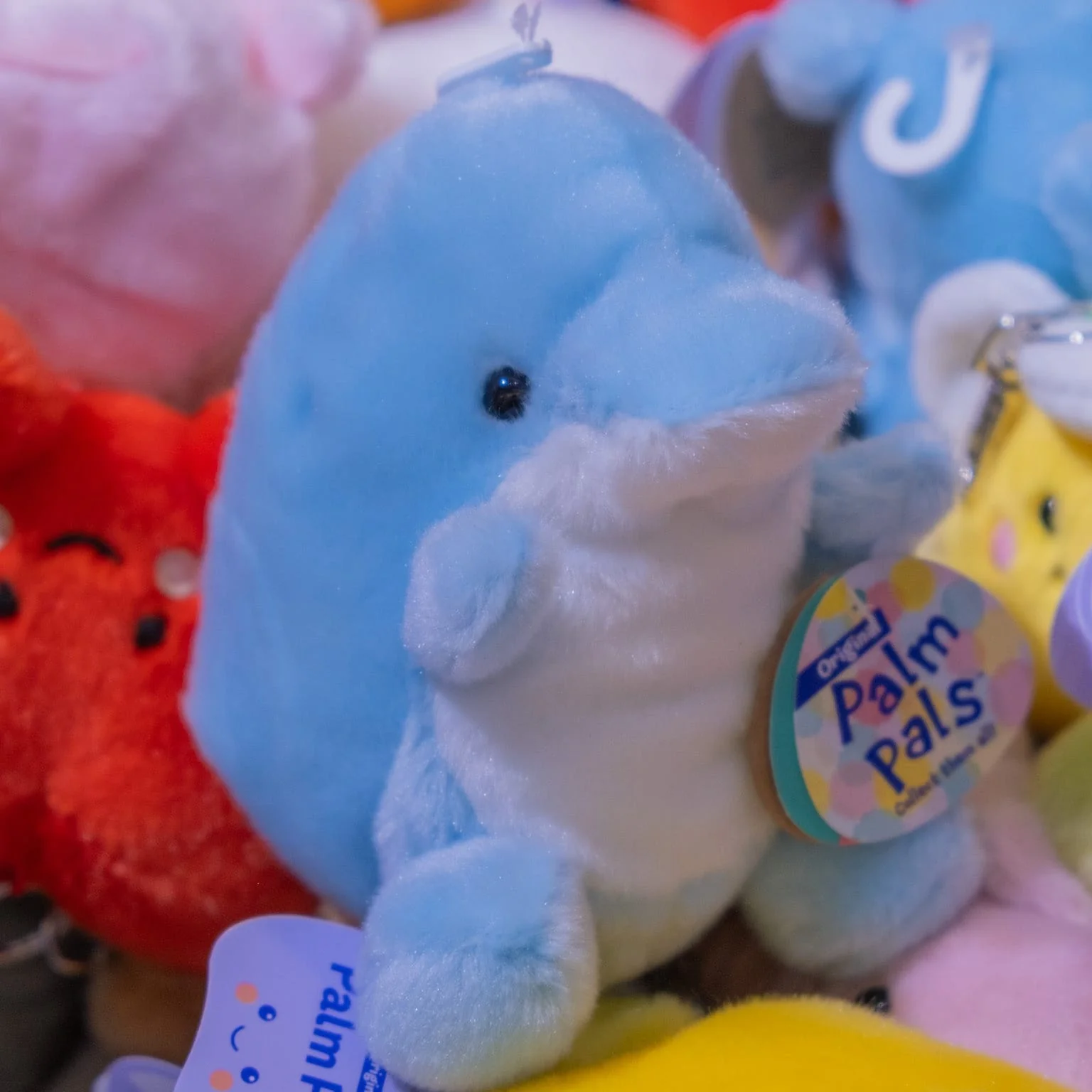 Clicks Dolphin Palm Pals 5" Plush - Image 2