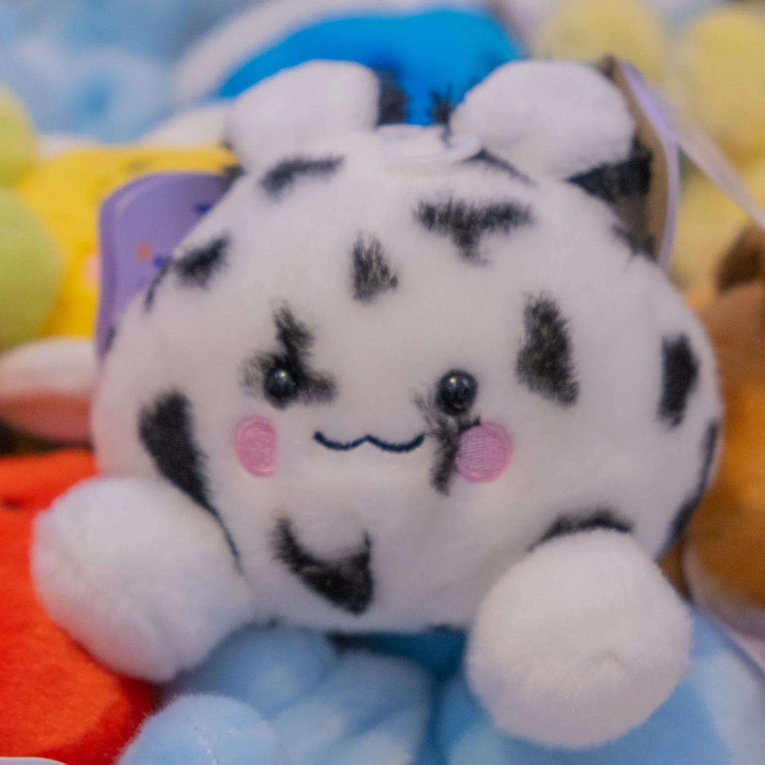 Usagi Sea Bunny Palm Pals 5" Plush - Image 2